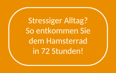 Stressiger Alltag? So entkommen Sie dem Hamsterrad in 72 Stunden!