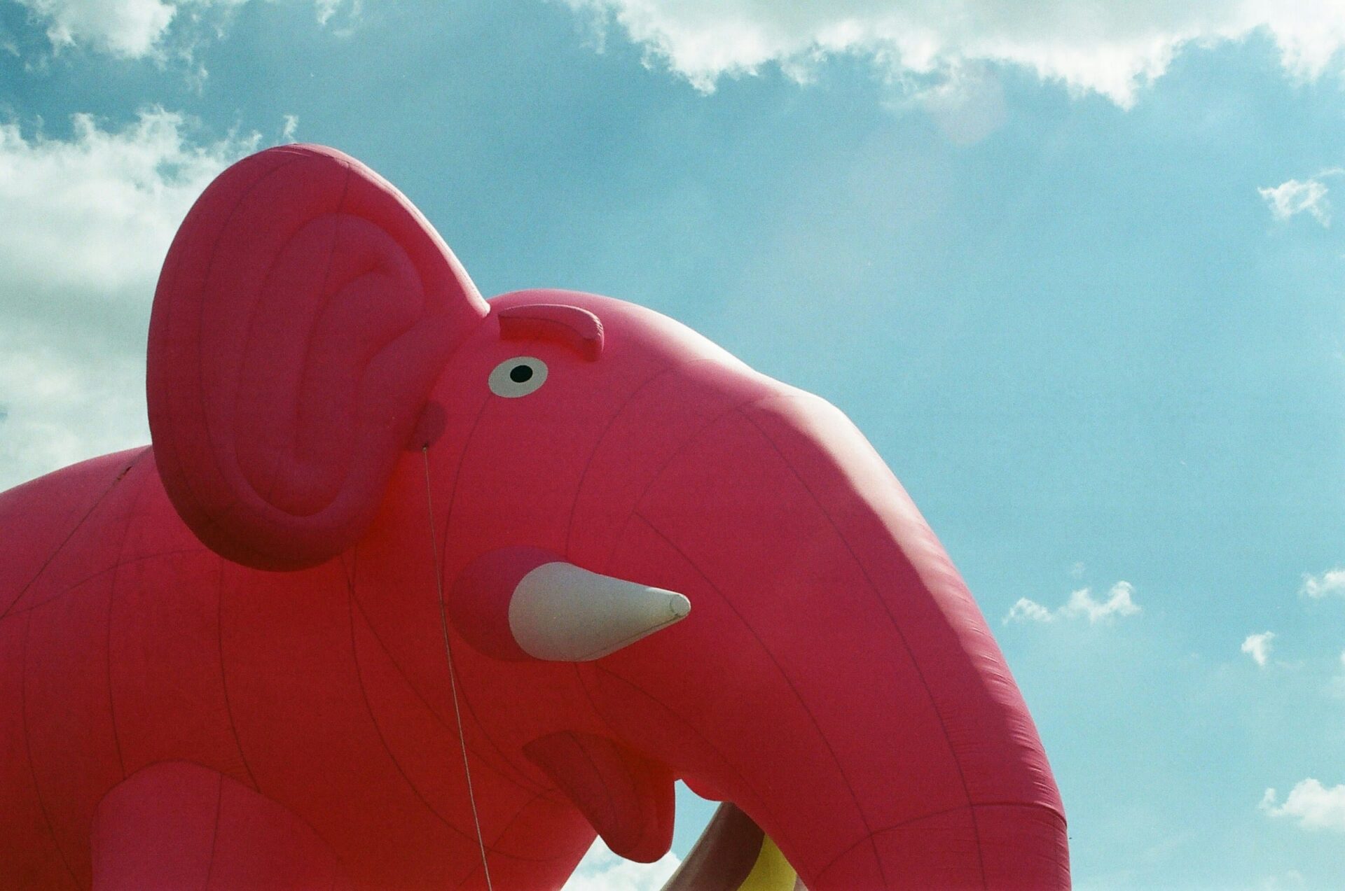Aufgeblasener pinker Elefant vor blauem Himmel